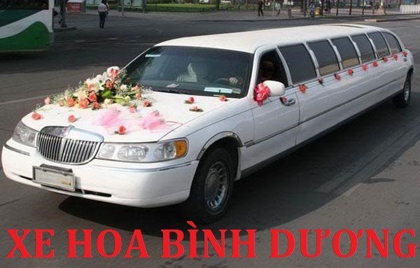 xe hoa bình dương